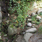 P9291593.JPG