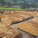 K_Herbstexkursion_20180922_120405.jpg