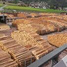 K_Herbstexkursion_IMG-20180923-WA0014.jpg