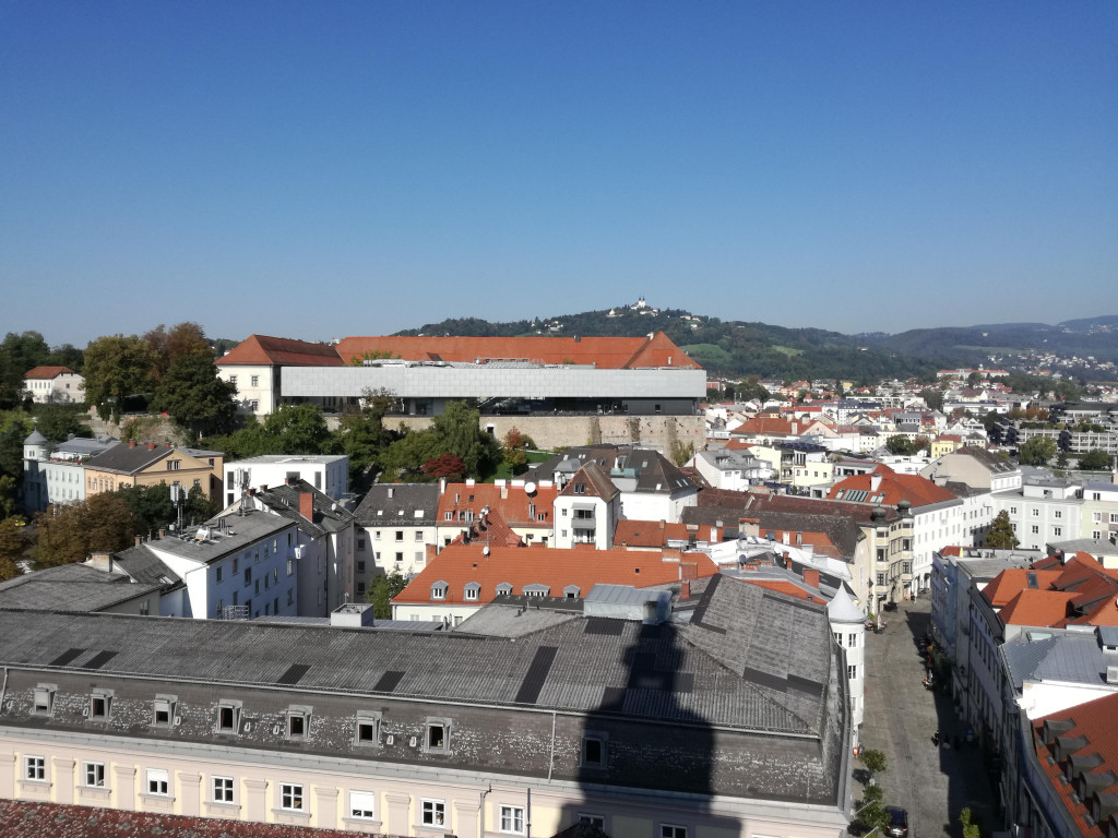 IMG_20180928_105214.jpg