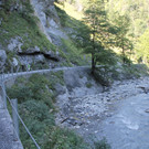 IMG_5790.JPG