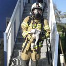 feuerkatze1.jpg