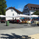 P9099422.JPG