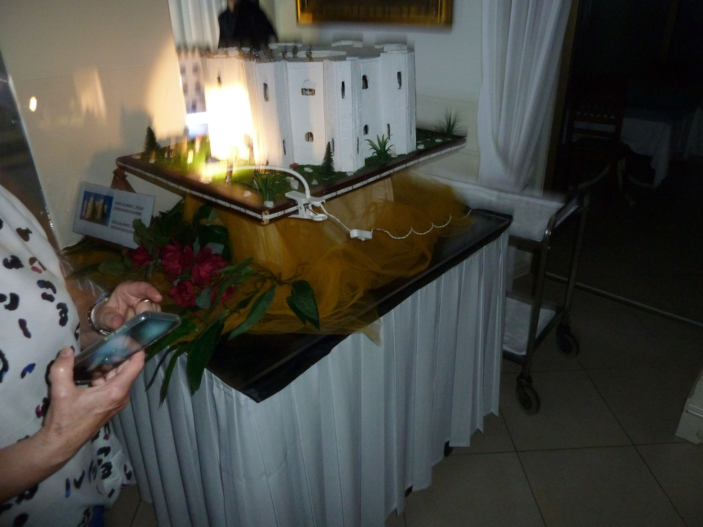 P1030077.JPG