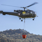 20181005_fmt_waldbranduebung_flachgau_mw-32.jpg