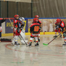 IMG_8288_JPG-1538841712.jpg