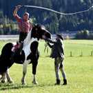 Meldungsliste_40__7.jpg