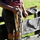 Meldungsliste_40__34.jpg