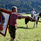 Meldungsliste_40__35.jpg