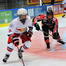 DSC_1484-fb.JPG