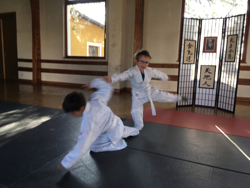Aiki_Kids_1.jpg