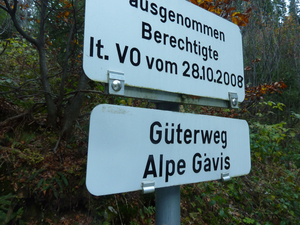 P1260415.JPG