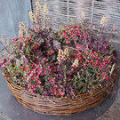 PA042275.JPG