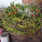 PA042284.JPG