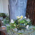 PA042293.JPG
