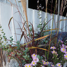PA042301.JPG