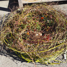PA042306.JPG