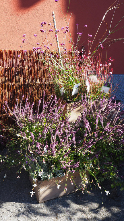 PA042310.JPG