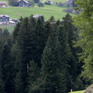 Manuel Fink_Alberschwende_Formel Renault.jpg