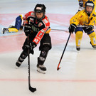 DSC_1539-12-vol.JPG