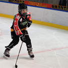 DSC_1552-3-vol.JPG