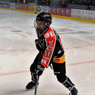 DSC_1554-51-vol.JPG