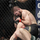 UFC_229_Mixed_Martial_Arts_93505.jpg