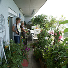 Bregenz J__rg G DSC01801.JPG