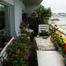 Bregenz J__rg G DSC01802.JPG