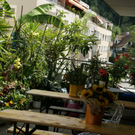 Bregenz J__rg G DSC01803.JPG