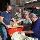 Sauerkraut selber machen