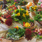 PA062648.JPG
