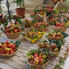 PA062652.JPG