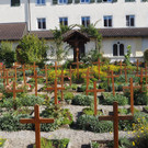 PA062669.JPG