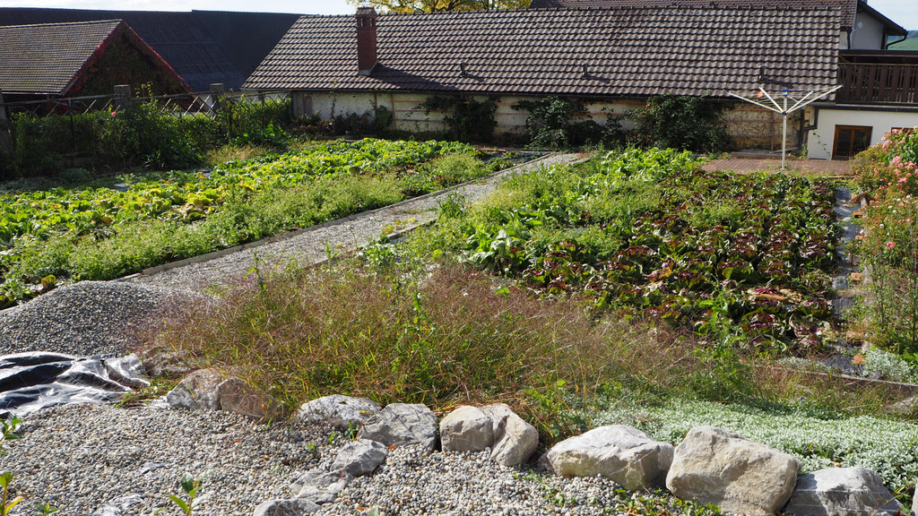 PA062675.JPG