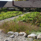 PA062675.JPG