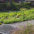 PA062676.JPG