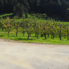 PA062679.JPG
