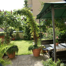 Bregenz Pfanner G DSC01790.JPG