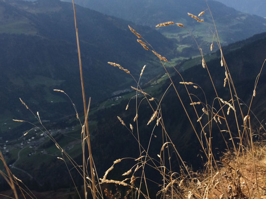 WhatsApp Image 2018-10-07 at 18_35_30.jpeg