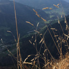 WhatsApp Image 2018-10-07 at 18_35_30.jpeg