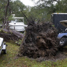 "Michael" trifft auf Florida