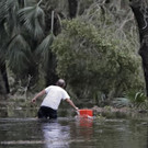 Hurrikan "Michael": Bilder aus Florida