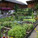 Dornbirn Mayer G DSC01912.JPG