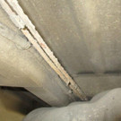 Mercedes  _7_ _Large_.jpg