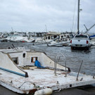 AFP_19X5Q3.jpg