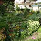 Dornbirn Mayer G DSC01915.JPG