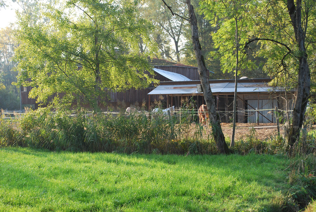 DSC_0342.JPG