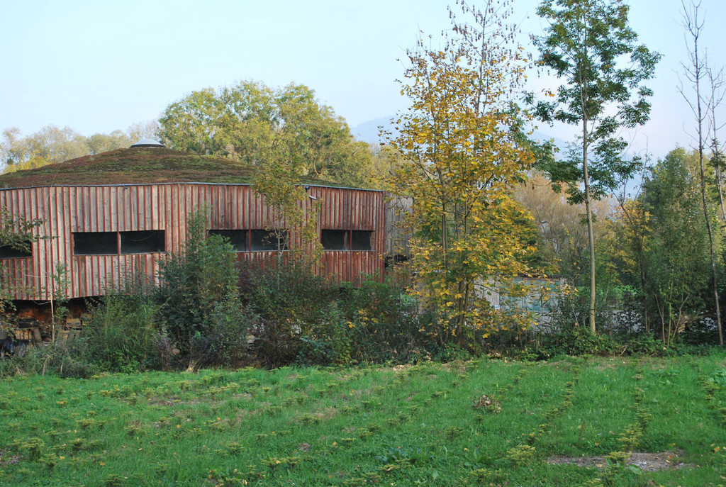 DSC_0414.JPG