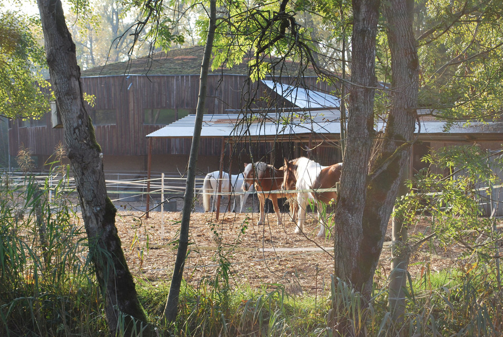 DSC_0347.JPG